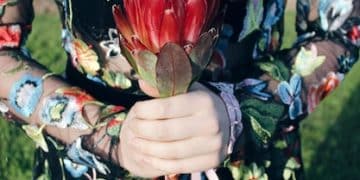 Spring 2025: Top 5 Floral Patterns for US Wardrobes - Cover Image