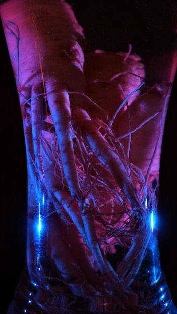 A close-up view of a 3D body scanner capturing the fine details of a person's torso. The image shows the intricate patterns of light projected onto the body.