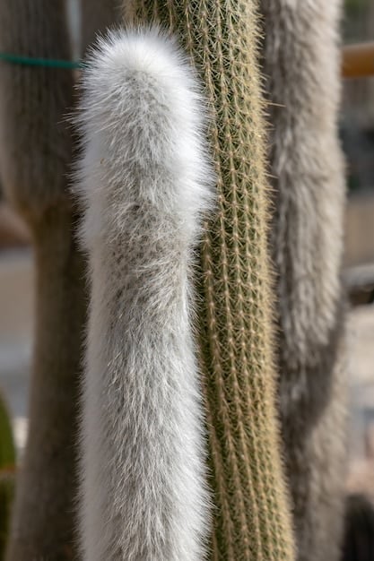 A close-up shot of various Shein winter coat fabrics, including faux fur, quilted polyester, and wool-like synthetics, with a measuring tape indicating the thickness and texture.